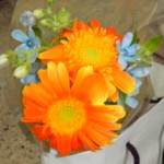 100923_2146~01 100923_2146~01.jpg