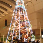 101120_1704~02 101120_1704~02.jpg