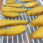 110104_2318~01 110104_2318~01.jpg