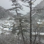 20110117115937 110117_115937